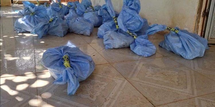 PNC efectúa allanamiento en Izabal por posible extracción ilegal de jade