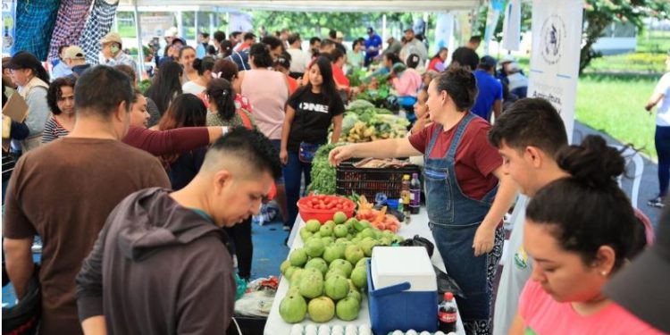 Feria del agricultor llega mañana a dos departamentos con productos frescos y a precios accesibles