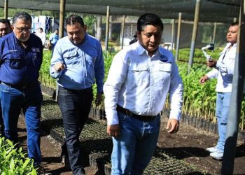 Esta iniciativa refleja el compromiso del MAGA por brindar soluciones a los productores. / Foto: MAGA