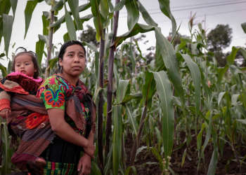 Las lideresas seleccionadas podrán defender en la Demi los derechos de las mujeres indígenas. / Foto: Noé Pérez.