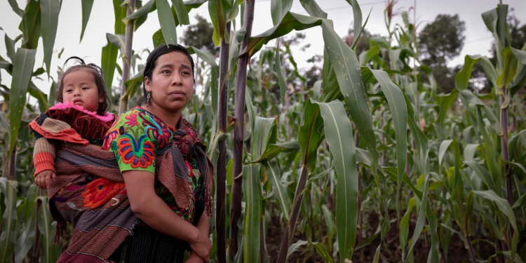 Las lideresas seleccionadas podrán defender en la Demi los derechos de las mujeres indígenas. / Foto: Noé Pérez.