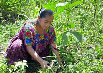 El Visan evalúa proyectos comunitarios para el programa Alimentos por Acciones