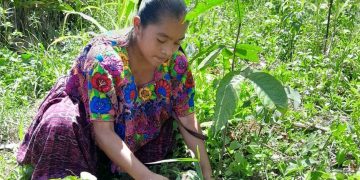El Visan evalúa proyectos comunitarios para el programa Alimentos por Acciones