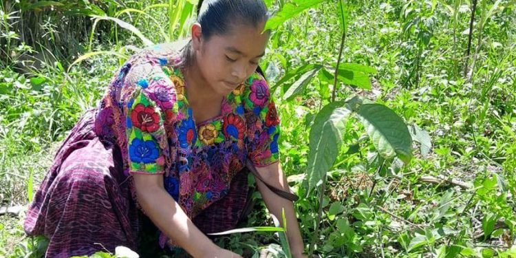 El Visan evalúa proyectos comunitarios para el programa Alimentos por Acciones