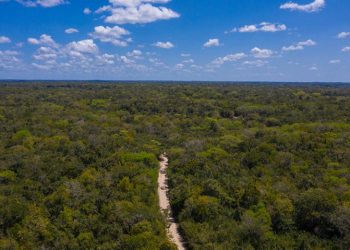 Iniciativa Petén más Sostenible: un paso hacia el desarrollo socioeconómico y ambiental