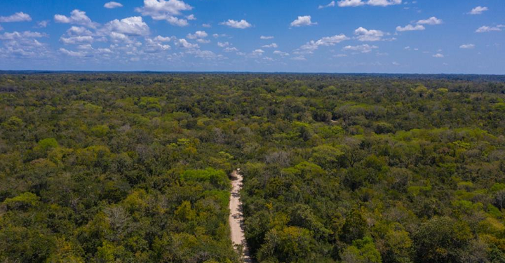 Iniciativa Petén más Sostenible: un paso hacia el desarrollo socioeconómico y ambiental