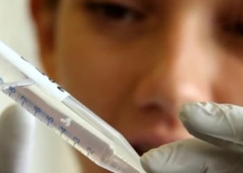 Las moléculas de ADN se podrían utilizar en aplicaciones de la biociencia.