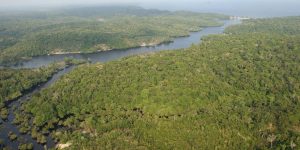 El cambio climático está colocando al Amazonas al borde de un colapso a gran escala que amenaza la vida en extensas zonas.