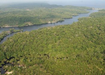 El cambio climático está colocando al Amazonas al borde de un colapso a gran escala que amenaza la vida en extensas zonas.