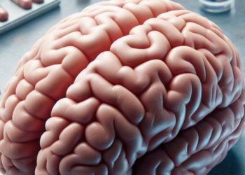 Analizan la velocidad del cerebro para procesar datos. / Foto: Blu Radio.