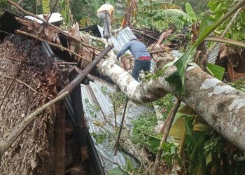 El Sistema Conred reporta 11 nuevas emergencias ocurridas en las últimas horas en ocho departamento del país.