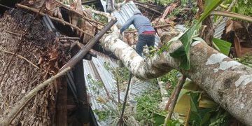 El Sistema Conred reporta 11 nuevas emergencias ocurridas en las últimas horas en ocho departamento del país.