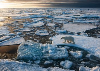 Calentamiento global tiene efectos irreversibles. / Foto: National Geographic.