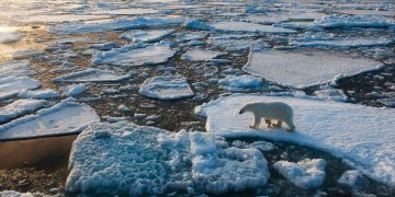 Calentamiento global tiene efectos irreversibles. / Foto: National Geographic.