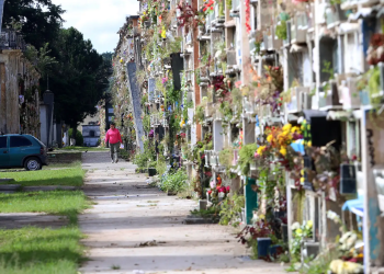 Millones de guatemaltecos visitarán los cementerios este 1 de noviembre. / Foto: MSPAS.