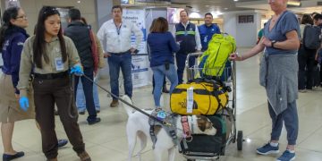 Inspecciones se hacen de forma preventiva con apoyo tecnológico y de equipo canino. / Foto: cortesía MAGA