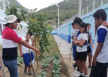 Escolares de San Agustín Acasaguastlán recolectan hortalizas. / Foto: MAGA.