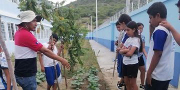 Escolares de San Agustín Acasaguastlán recolectan hortalizas. / Foto: MAGA.