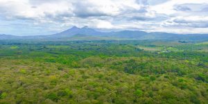 Estadísticas ambientales recopiladas por el INE buscar mejorar la sostenibilidad. / Foto: cortesía Inab.