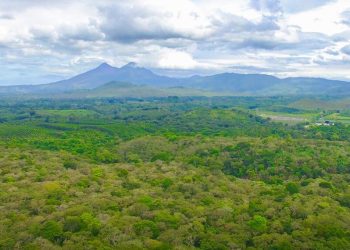 Estadísticas ambientales recopiladas por el INE buscar mejorar la sostenibilidad. / Foto: cortesía Inab.