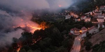 Los incendios forestales son cada vez más frecuentes y virulentos, lo cual aumenta las emisiones de CO2, señala estudio.