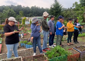 Personas con discapacidad aprenden a cultivar su futuro en taller inclusivo del MAGA