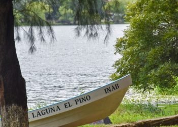 Para el disfrute de la población aventurera, hay 4 parques protegidos que ofrecen un contacto con la naturaleza. / Foto: cortesía INAB