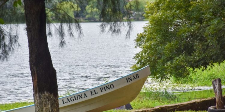 Para el disfrute de la población aventurera, hay 4 parques protegidos que ofrecen un contacto con la naturaleza. / Foto: cortesía INAB