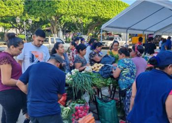 La Feria del Agricultor no solo beneficia a los consumidores, sino que también dinamiza la economía local. / Foto: MAGA.