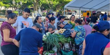 La Feria del Agricultor no solo beneficia a los consumidores, sino que también dinamiza la economía local. / Foto: MAGA.