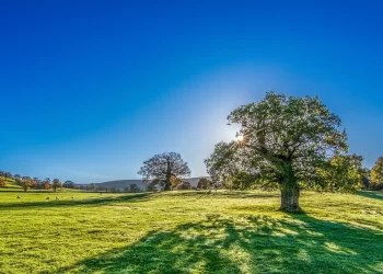 MARN monitorea el cuidado de la contaminación del aire por emisiones. / Foto: Onda Cero.