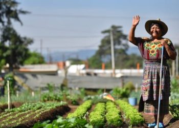Mujeres rurales, pilar del desarrollo familiar, comunitario y nacional