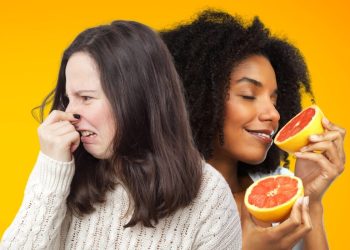 Estudio revela que los olores se perciben a una velocidad mayor de lo que se creía hasta ahora.