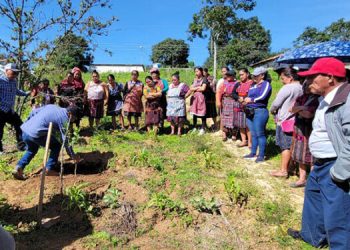 La delegación de eurodiputados evaluará el impacto del cambio climático y la pobreza en Guatemala.