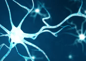 Péptidos encriptados son una nueva ruta para combatir infecciones. / Foto: Sonamex.