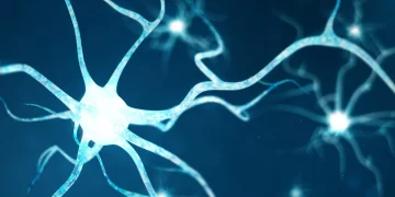 Péptidos encriptados son una nueva ruta para combatir infecciones. / Foto: Sonamex.