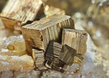 Pirita, también llamada "el oro de los tontos", sirvió para conservar ejemplar de artrópodo. / Foto: Gizmodo.