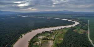 Los fondos del Préstamo se destinarán para incentivos forestales para pequeños productores.