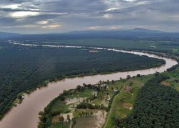 Los fondos del Préstamo se destinarán para incentivos forestales para pequeños productores.
