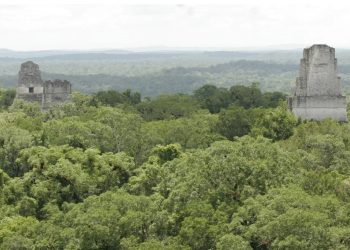 El Inguat, que busca posicionar a Guatemala como un importante destino turístico, se propone crear un museo en medio de la selva petenera.