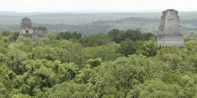 El Inguat, que busca posicionar a Guatemala como un importante destino turístico, se propone crear un museo en medio de la selva petenera.