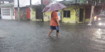 Tormenta Nadine ha dejado destrucción en Veracruz, México. / Foto: Diario de Xalapa.