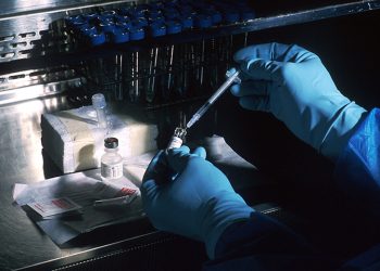 Científicos crean vacuna bacteriana que combate el cáncer en ratones.