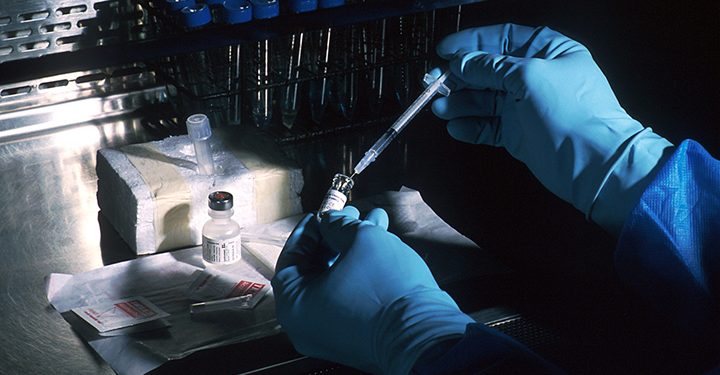 Científicos crean vacuna bacteriana que combate el cáncer en ratones.