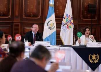 Vicepresidenta dirigió la quinta reunión ordinaria del Gabinete Especifico de Desarrollo