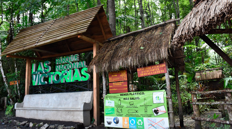 Parque Nacional Las Victórias, alberga 175 especies florales. / Foto: cortesía INAB