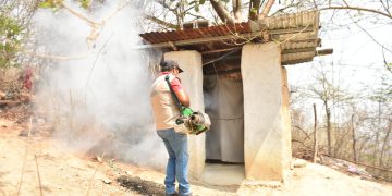 Autoridades de salud accionan para el combate al dengue en el país. /Foto: MSPAS.