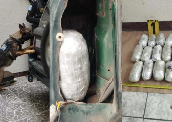 En su interior, las autoridades encontraron 17 paquetes de marihuana, además de 127 recipientes de plástico, conocidos como colmillos. / Foto: PNC.