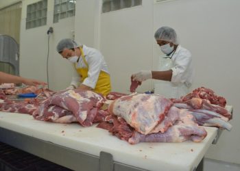 Descartan peligros de la carne de res relacionados al caso del gusano barrenador. / Foto: MAGA.