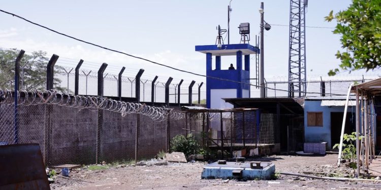 Esta iniciativa reafirma el compromiso del gobierno de Bernardo Arévalo con el fortalecimiento del sector agrícola, / Foto: MAGA